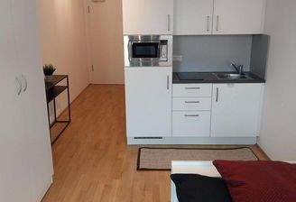 Küche und Eingangsbereich