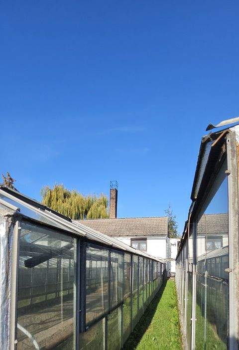 Aken (Elbe) Häuser, Aken (Elbe) Haus kaufen