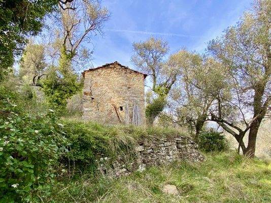 DA812_03 TERRA ITALIA IMMOBILIEN_LIGURIEN_DOLCEACQ