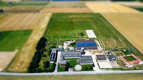 Adelschlag Bauernhöfe, Landwirtschaft, Adelschlag Forstwirtschaft