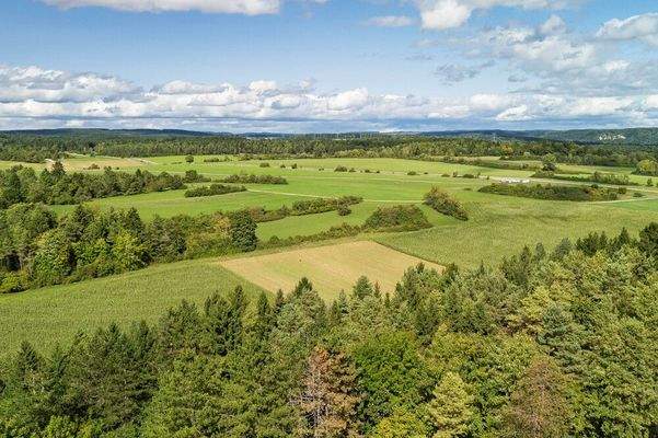 Umgeben von Natur, Wiesen und Wäldern