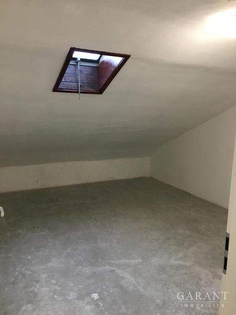 Stuttgart Halle, Stuttgart Hallenfläche