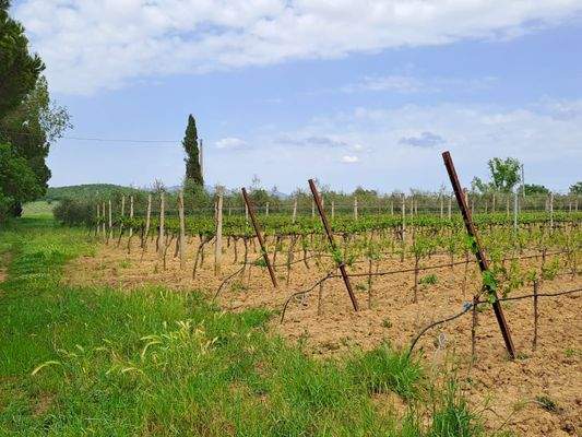 PHOTO-2024-04-29-15-33-36 2.jpg