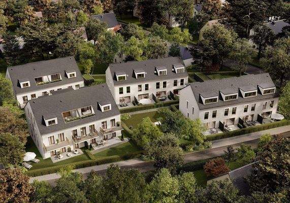 Vogelperspektive neu.jpg