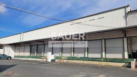 Berlin Halle, Berlin Hallenfläche