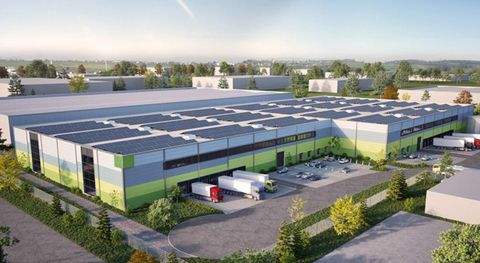 Lüneburg Halle, Lüneburg Hallenfläche