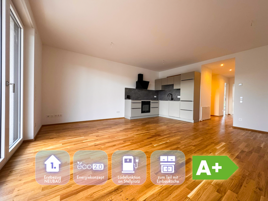 Neue Färberei - Titel