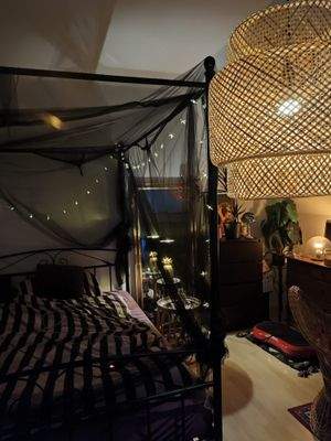 WhatsApp Image 2026-03-23 at 21.02.08.jpeg