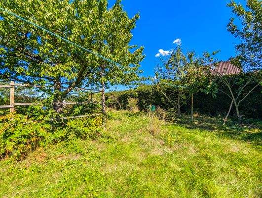 Obststräucher und -bäume