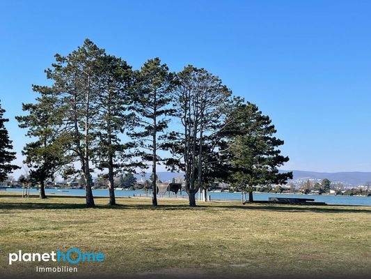 Spiel- und Liegewiese