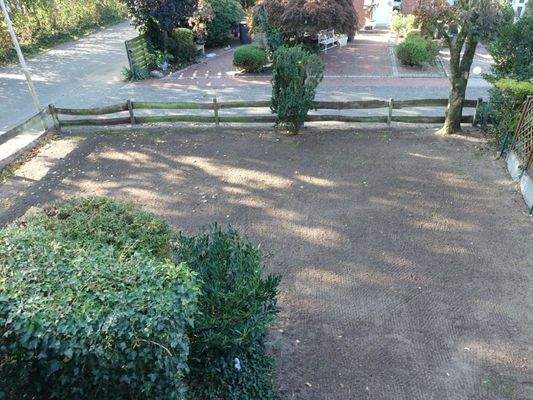 Neu angelegter Garten