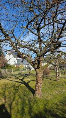 Viele Möglichkeiten