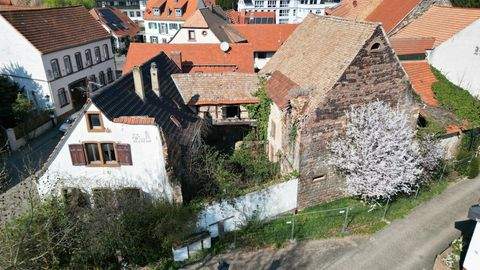 Grünstadt / Asselheim Grundstücke, Grünstadt / Asselheim Grundstück kaufen