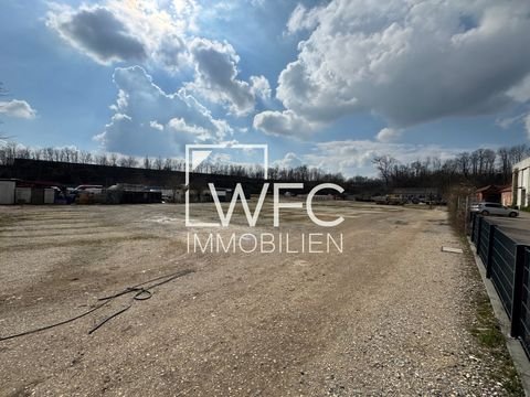 Kirchheim unter Teck Halle, Kirchheim unter Teck Hallenfläche