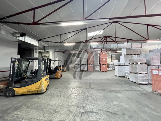 INFOS UNTER: 06171-586000