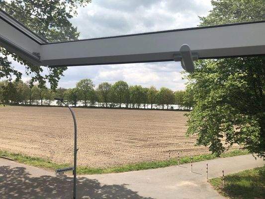 Blick aus dem Fenster (3)