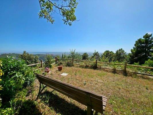 20250708_160058 (Kopie).jpg