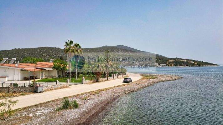 img_fb4e4239-932b-4ef2-95f7-cb5d0d9b51f7