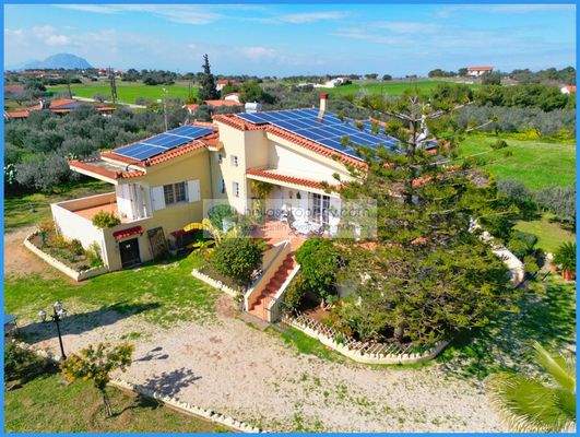 a699d0e987a84ac395ac12ef5f0f77e8-original