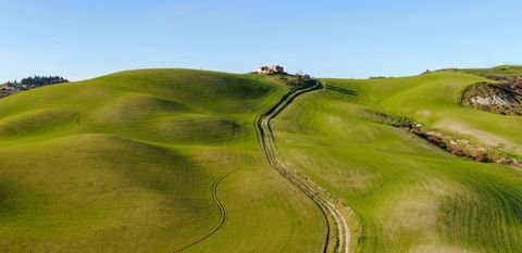 Aschiano - Siena Bauernhöfe, Landwirtschaft, Aschiano - Siena Forstwirtschaft