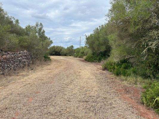 d71e813a-a36f-4f1e-9ece-054596e2ff64