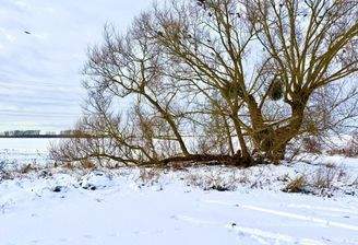 Sicht über das Feld