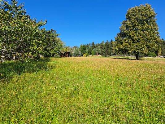 WhatsApp Bild 2023-09-17 um 15.53.07 4.jpg