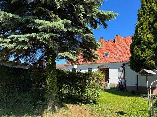 WhatsApp Image 2025-06-02 at 09.02.40 (1)