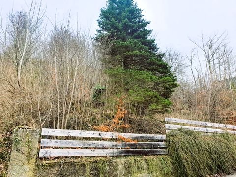 Oberndorf am Neckar Grundstücke, Oberndorf am Neckar Grundstück kaufen