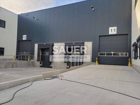 Blankenfelde-Mahlow Halle, Blankenfelde-Mahlow Hallenfläche