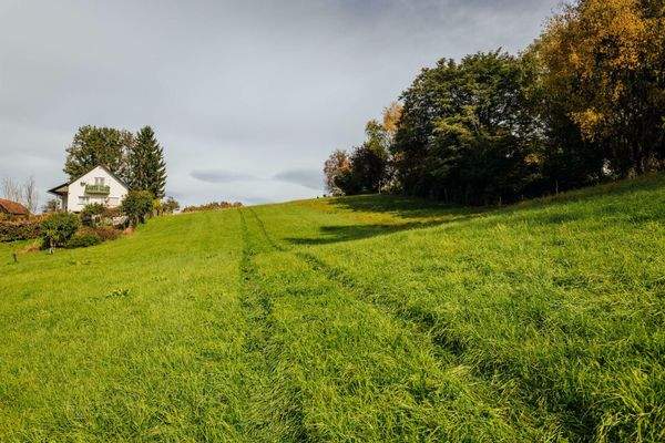 Bauerwartungsland (LW) GStNr. 40/5