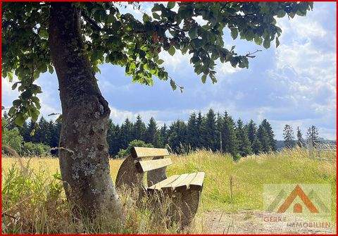 Medebach / Oberschledorn Grundstücke, Medebach / Oberschledorn Grundstück kaufen