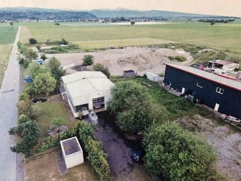 Breisach Halle, Breisach Hallenfläche