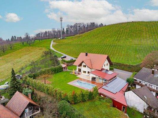 Umgebung mit Weinreben und Waldspazierwegen