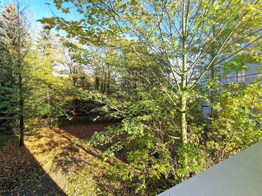 Ausblick Schlafzimmer - Musterfoto