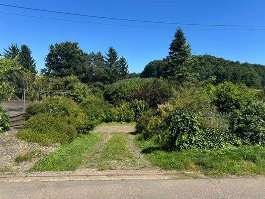 PHOTO-2025-08-09-15-14-00 2