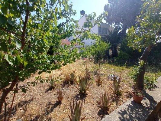 Kreta, Neapoli: Großes Steinhaus mit unvollendetem Gästehaus, Olivenhain und Garten zu verkaufen