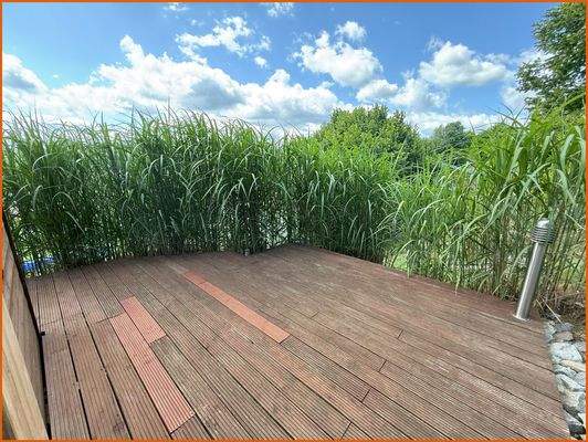 ungestörte Sonnenterrasse