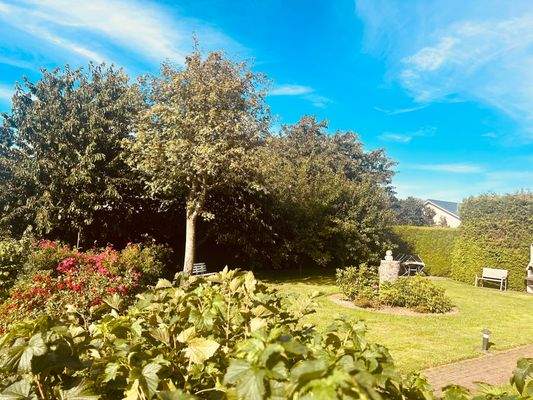 Garten / Grünfläche