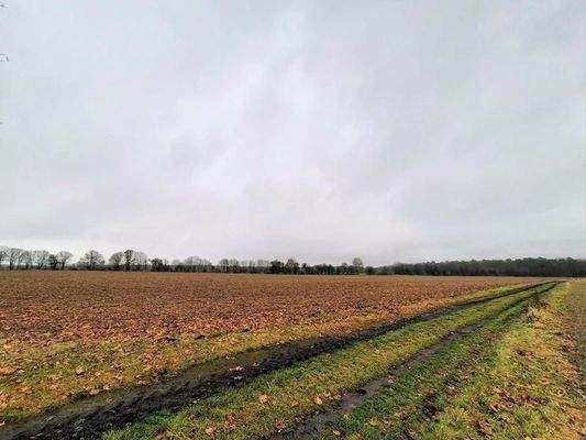 Entwicklungsland grösserer Teil