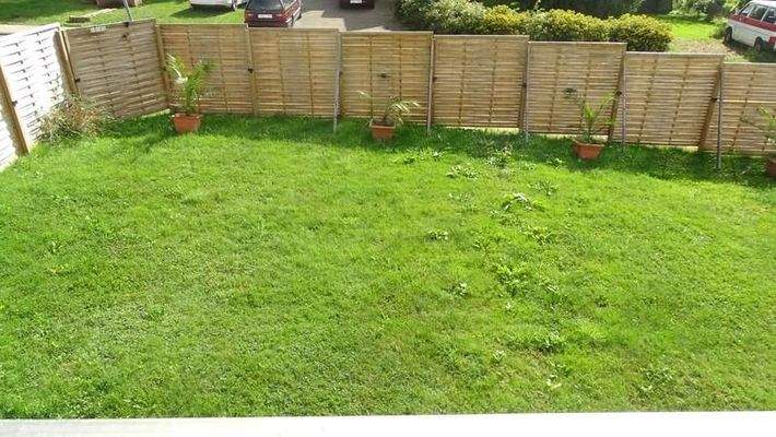 Grünfläche zur Straße