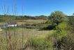 IMG_1951.jpeg