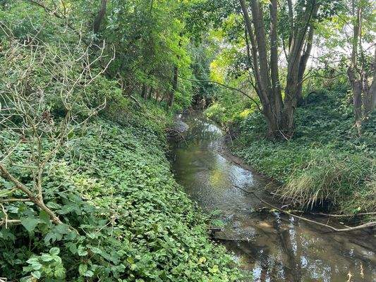 Bachzulauf auf dem Grundstück
