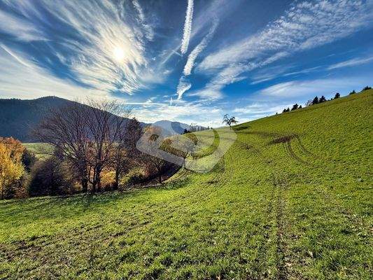 Natur hinter der Gebäude