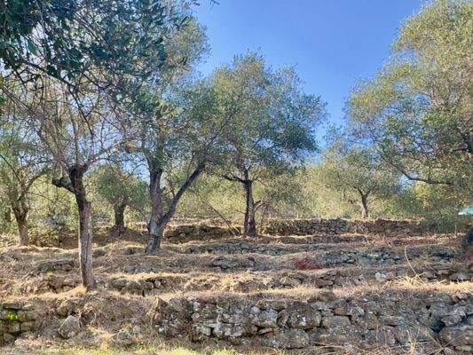 DA1046_02 TERRA ITALIA IMMOBILIEN_REAL ESTATE_FOR 