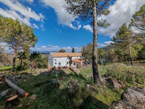 Ronda Häuser, Ronda Haus kaufen