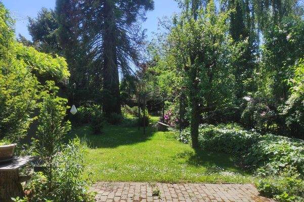 Garten hinter dem Haus