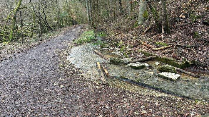 romantischer Quellbach und die Zufahrt