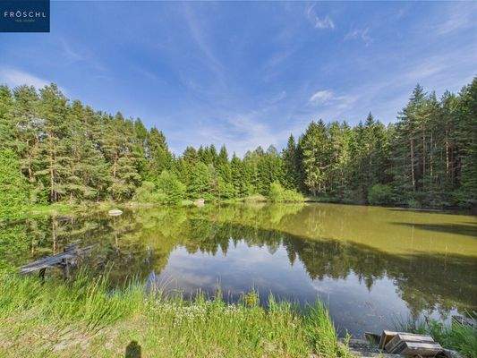 Ansicht Teich 1 - Pic 3