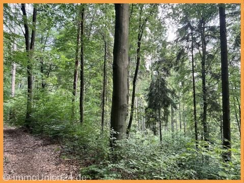 Igensdorf Bauernhöfe, Landwirtschaft, Igensdorf Forstwirtschaft